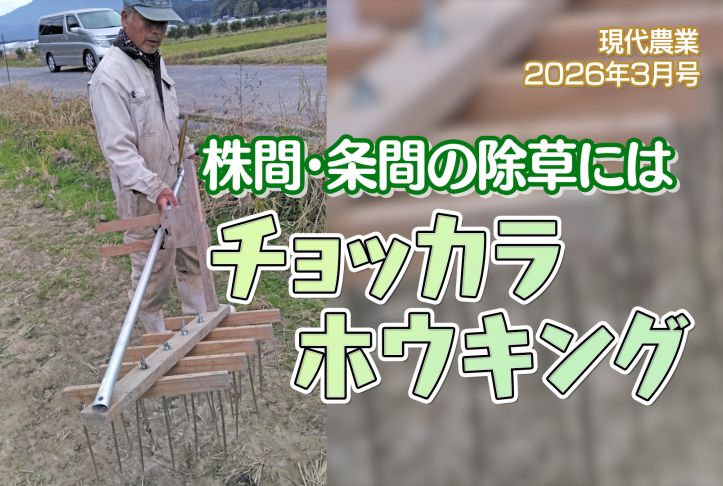 #現代農業 2026年3月号より📖

手作り株間除草犂「ホウキング」の最新版とは…

除草作業の実演映像がルーラル電子図書館☟で視聴できます👀

★取材ビデオ📹無料公開中★
lib.ruralnet.or.jp/video/video_pl…