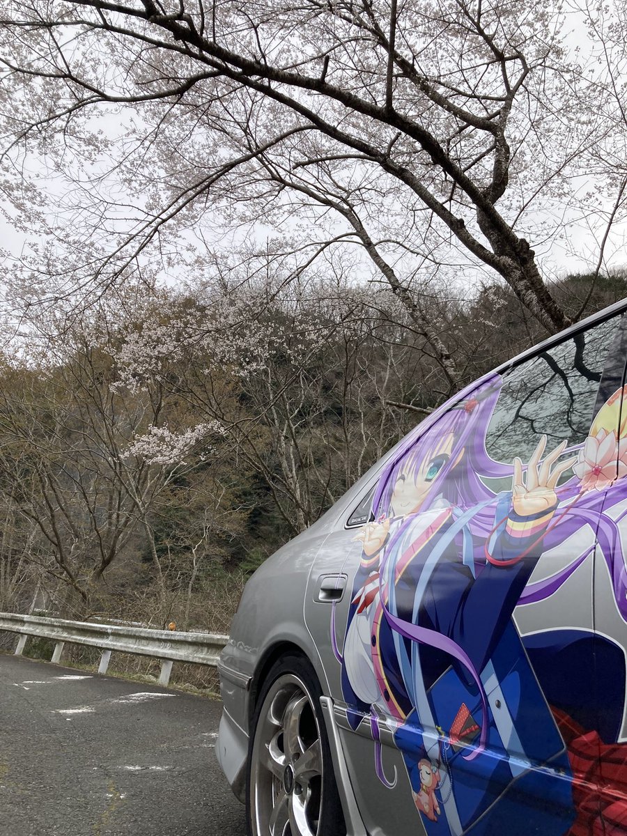 昨年花咲ワークススプリングしたかったけど、だいぶアッサリとしてた