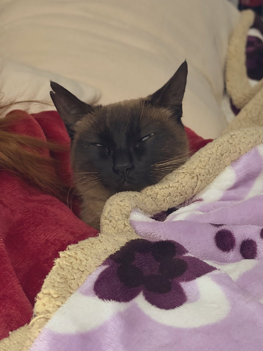 Dra. Sol tweet media