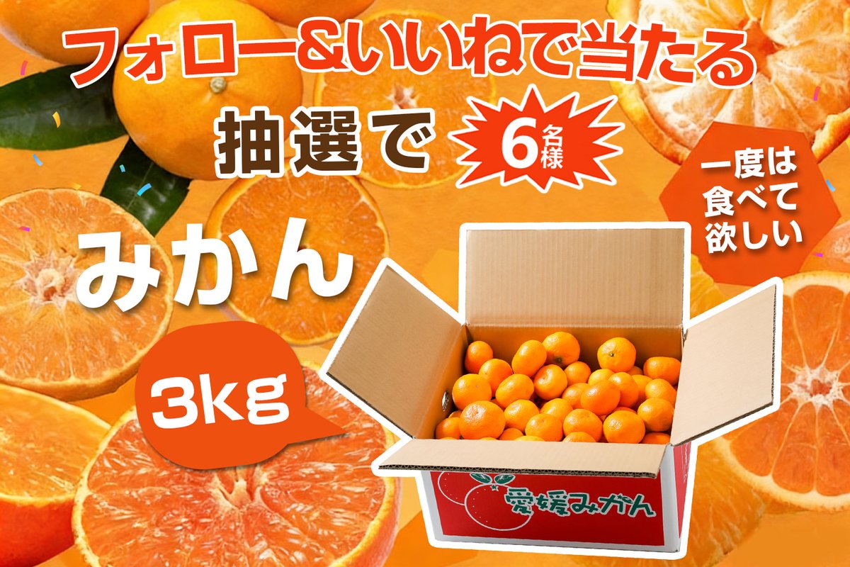 フォロー購入1000円以上プレゼント❣️ページです♡ 1度は食べて見たい🤭🤭🤭