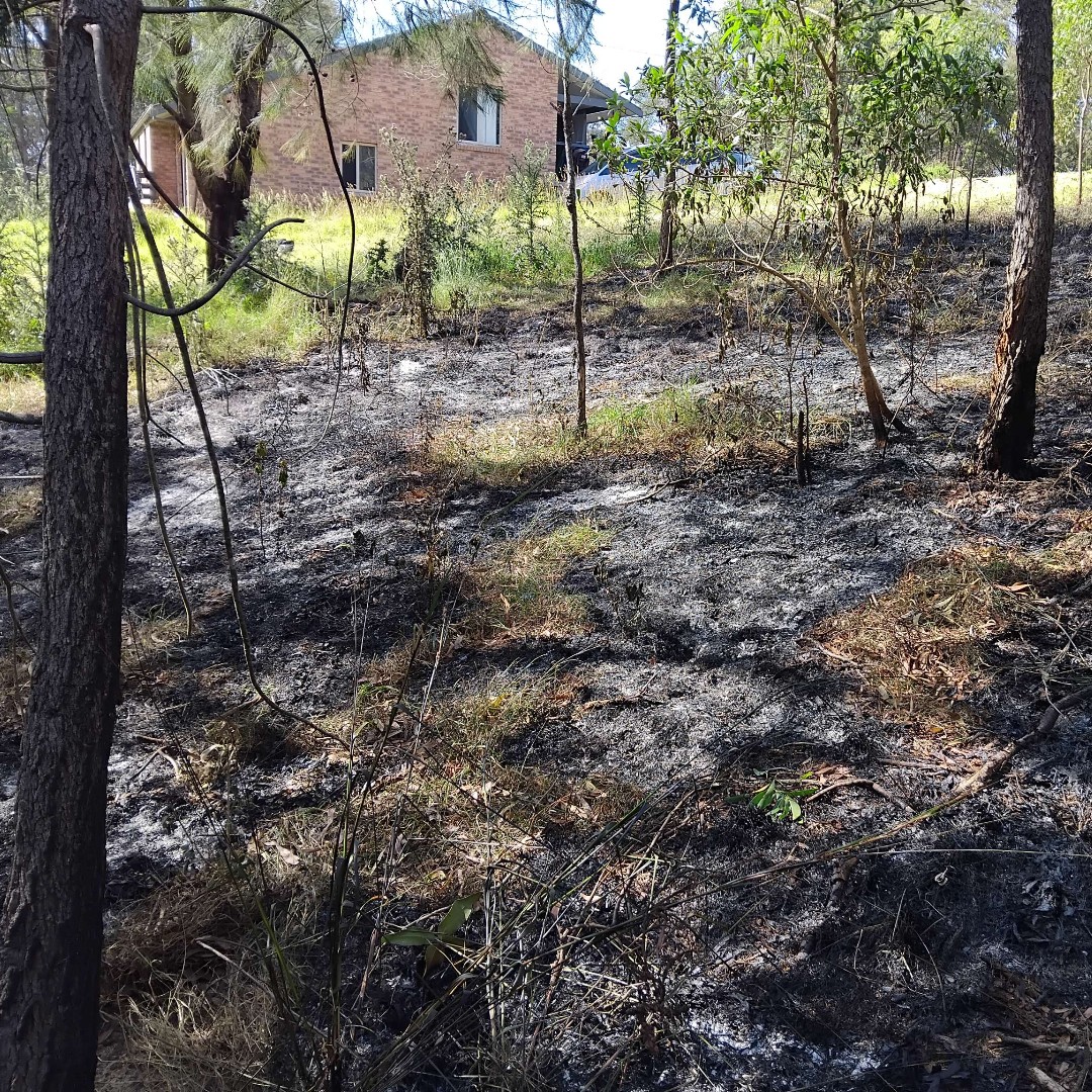 Firesticks tweet media