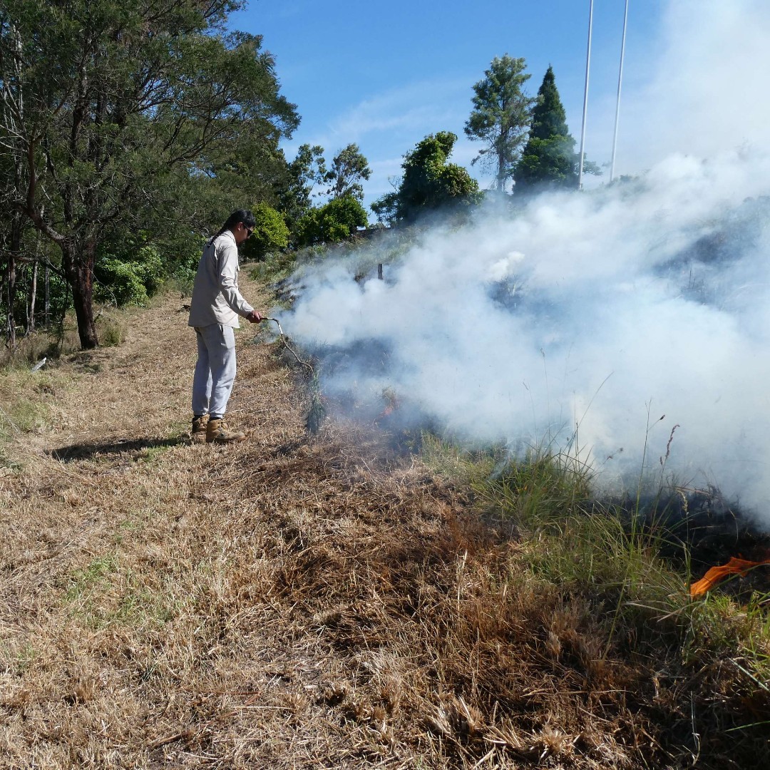 Firesticks tweet media