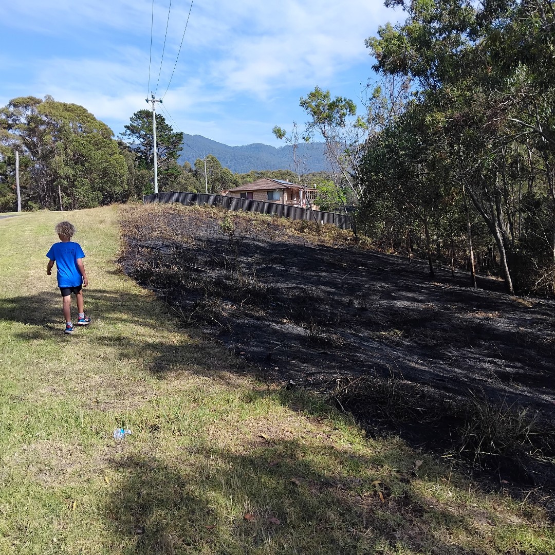 Firesticks tweet media