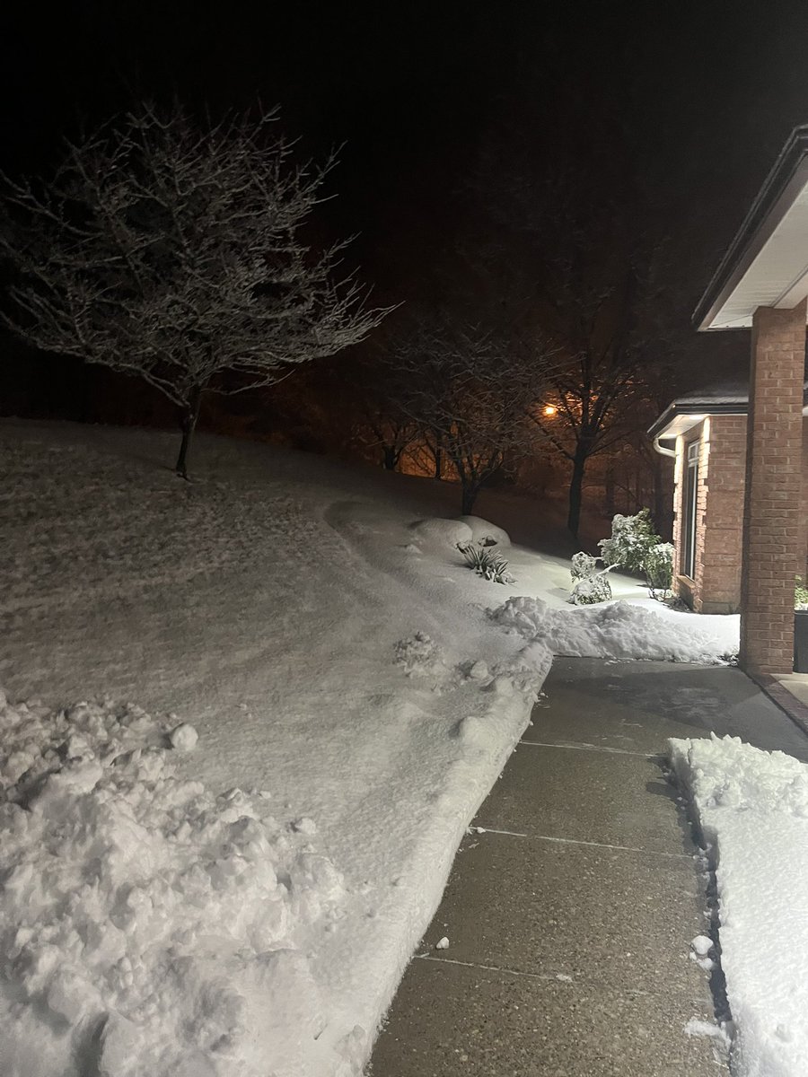 Dr. Bren Stevens tweet media