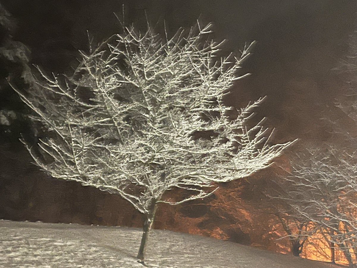 Dr. Bren Stevens tweet media