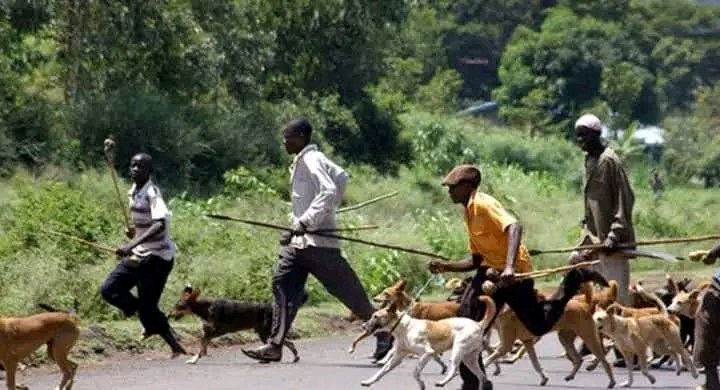 AtworiYa's tweet image. Sisi early birds bado tuko site....