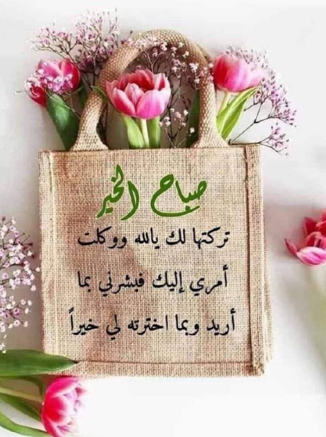 ♥♡ صباح الخير🌹❤️

والسعادة اللهم إنَّا نسألُك نهارًا مُستبشِرًا 
وهمًّا راحِلًا 
ويومًا رائِعًا 
وقلبًا مُطمئِنًا 
ورزقًا كثيرًا 
وتيسيرُا لأمورنا
اللهم ظننا بك الخيرَ وأنتَ الخير
اللهم بشرنا بما يَسرنا وأنتَ خيرُ المُبشِّرين
#صباح_الخير