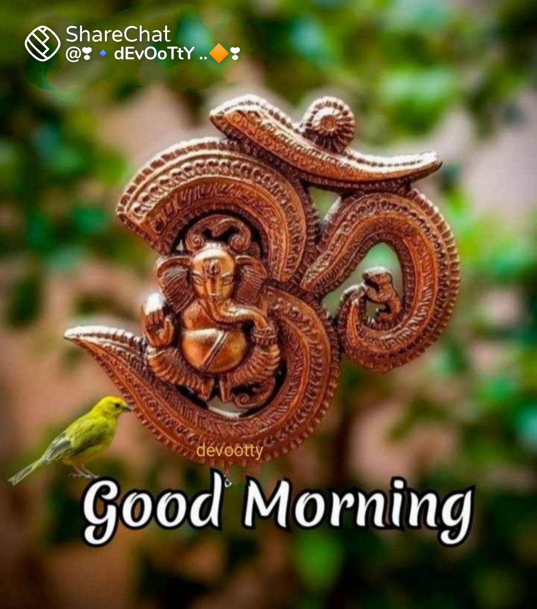 Sajitha97273316's tweet photo. Good morning to all. https://t.co/wdoozI2wf6