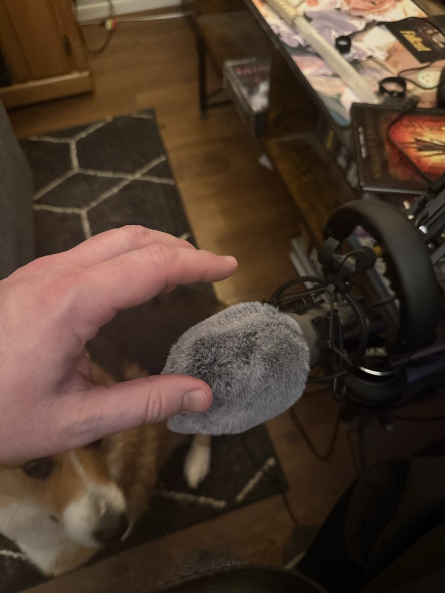 Oh my god I was working intently at my PC and petting what I thought was my corgi’s head, then he grumbled and I finally looked over 

I had been petting THE WIND SOCK ON MY MIC 🫠

No wonder he was so cross