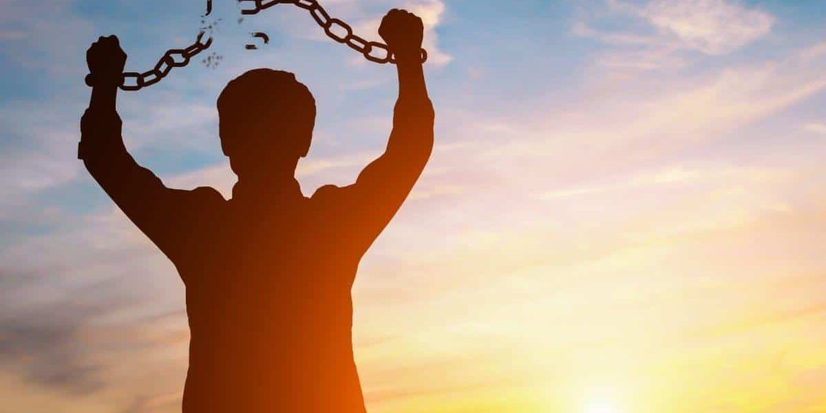 🌱Vertigo (ART COMMISIONS CLOSED) tweet media