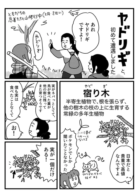 ヤドリギまだ食べたことない
【再掲】 