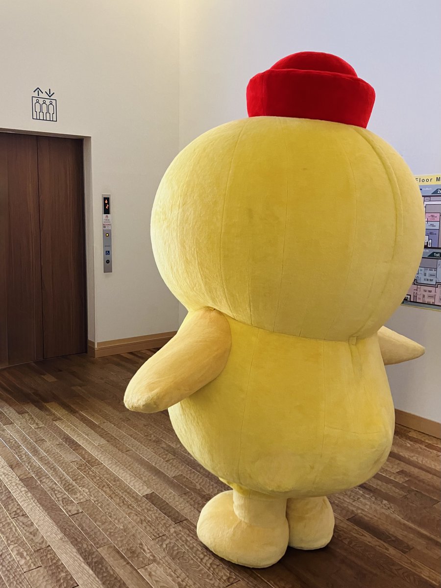 アヒル隊長®︎公式 (@ahirutaicho_R) / Posts / X