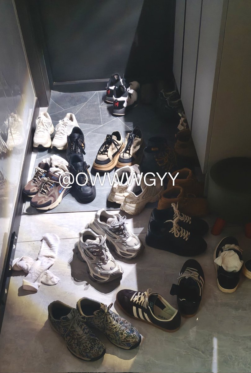 大白鲨---- tweet media