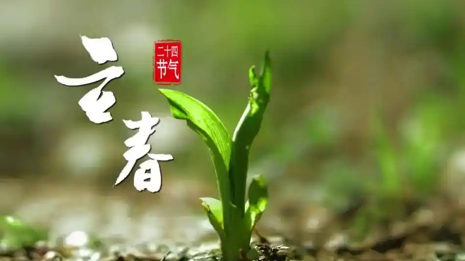 立春是二十四节气的第一个节气，
立代表着开始，四时重启、暖意盈门。
春是希望，草木发芽、万物和鸣。
一年之计在于春，立春这一天，气温逐渐回暖，大地也开始展现出勃勃生机。

今日立春，美好迎春而来。‌‌