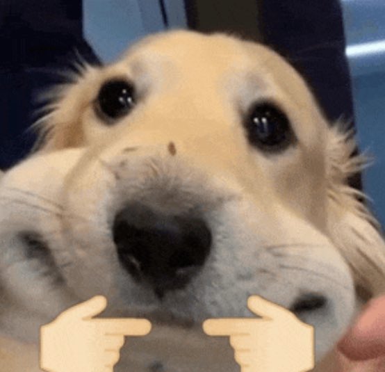 当新认识我的人说我温柔斯文的时候，我就知道我又装过头了