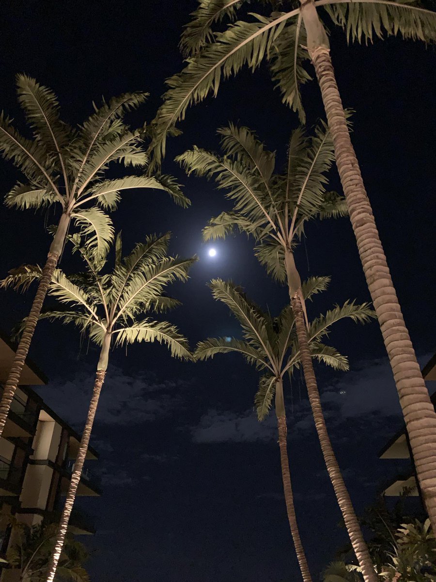 📸 by <a href="/sumikata_rock/">⻆方 靖</a> 

#photography #picoftheday