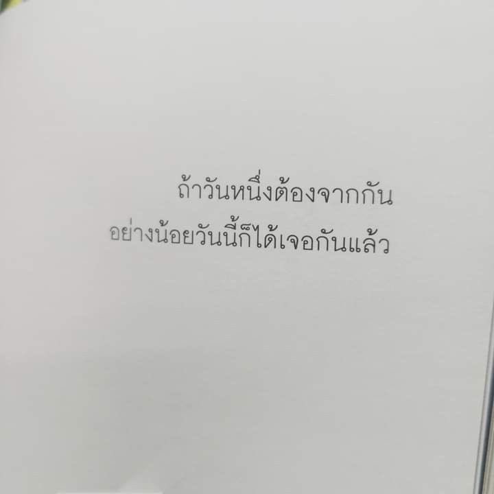 หมีไข่ 🐻 tweet media