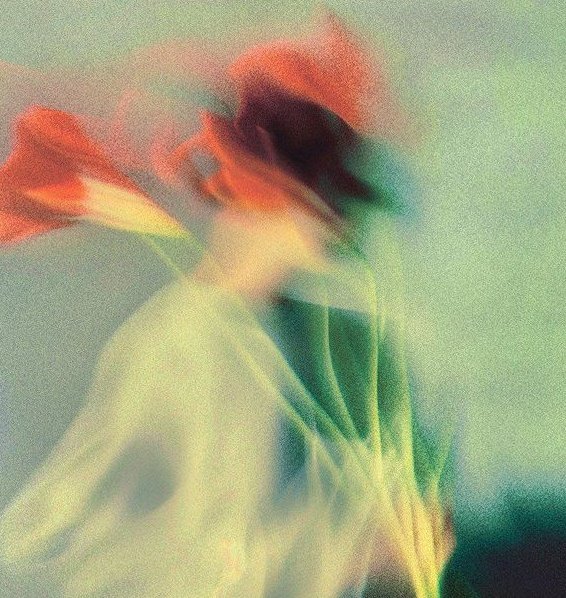 oysa bir çiçek vardı bahçelerde kendini dererdi
sevinçle. Kendini tek haklıya bir gün sunmak üzere

Turgut Uyar