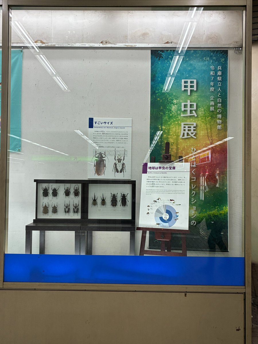 兵庫県立人と自然の博物館 tweet media