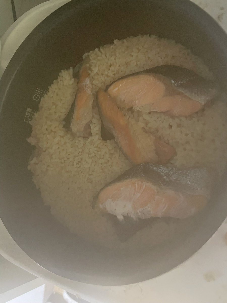 最近和食が多い
角煮作りたいから誰かブロック肉プレゼントしてほしい