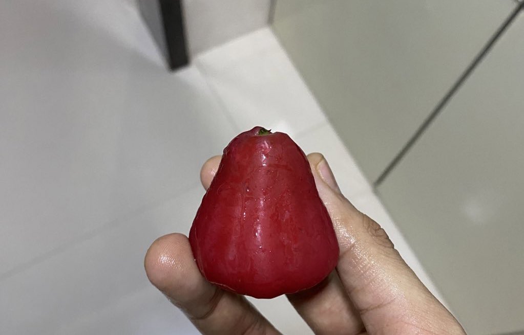This fruit >>>