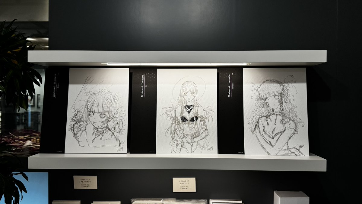 TheEdition88's tweet image. 【Mutsumi Inomata 88Graph Collection 2026】
#いのまたむつみ 先生の新商品「88グラフレコード」（3種類）をご紹介💁
本来は公開されることがない、カラー作品の土台となる貴重な下絵を商品化✨鉛筆やマジックによる独特のにじみのある質感を再現しています✏…