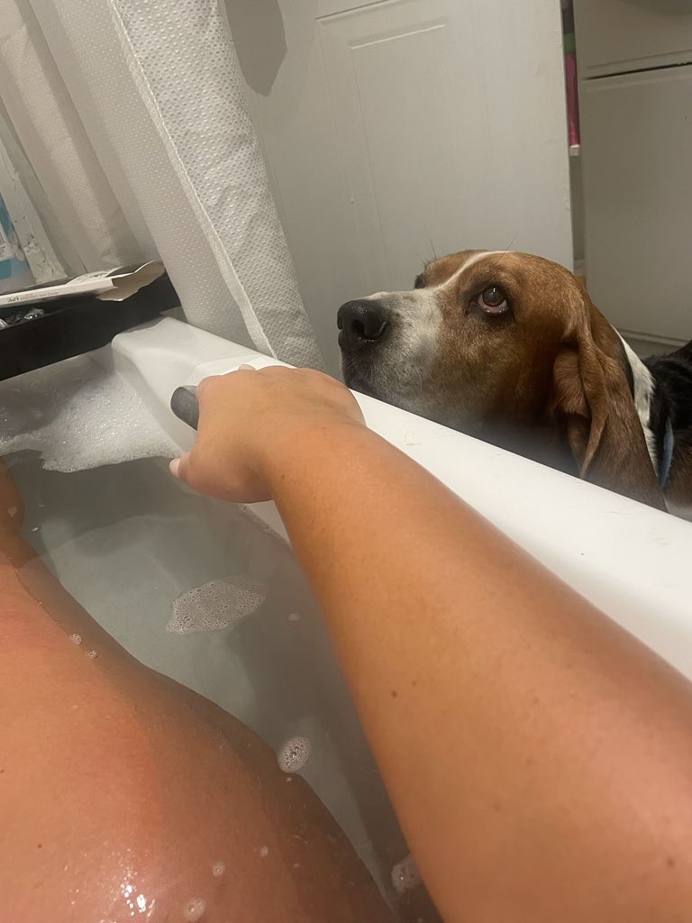 dogknott2's tweet photo. What’s going on over here 🤪 🤭

#zoophilia #bestiality #doglover #dogknotting
#dogsex #knotty #dogpil #dogwhore #puppy #dogwoman #zoocontent #beastiality #zoophilia #dogcontent #dogmom #doglover #doggystyles 
#usa #Germans https://t.co/dELwazZHah