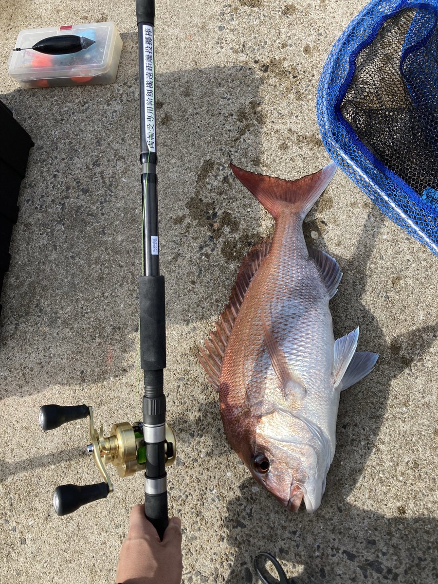 投票行ったら釣り

#両軸遠投カゴ