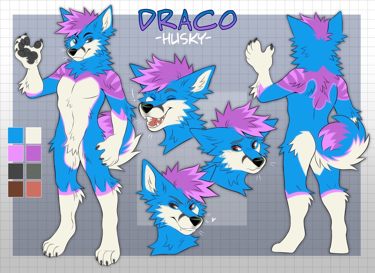 Draco Husky tweet media