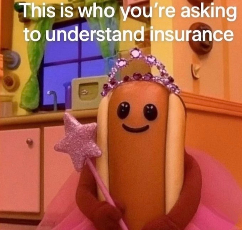 raccoonesthetic's tweet image. 