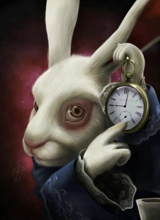 hoppy is positioned to be THE giveaway platform on solana

All private all encrypted all ready to ship now on solana main net.

Try it for yourself and see if you can find your own wallet on solscan, we bet you can’t.