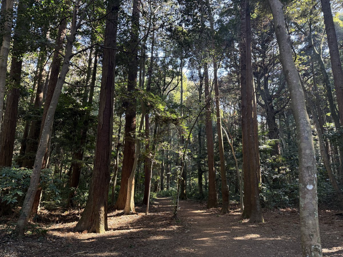 船木政秀 tweet media