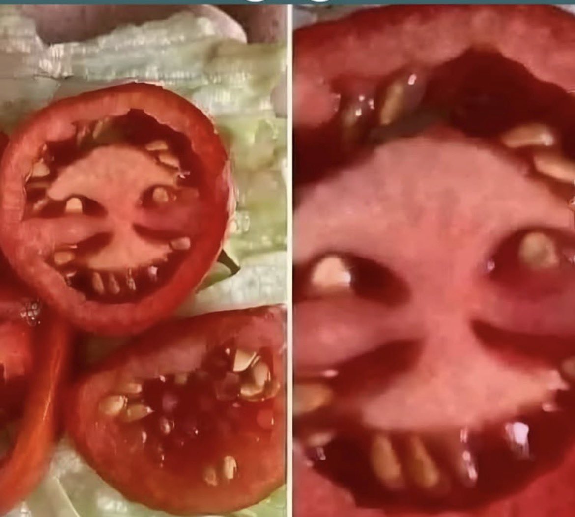 NEVER cutting a tomato ever againnnn 😭