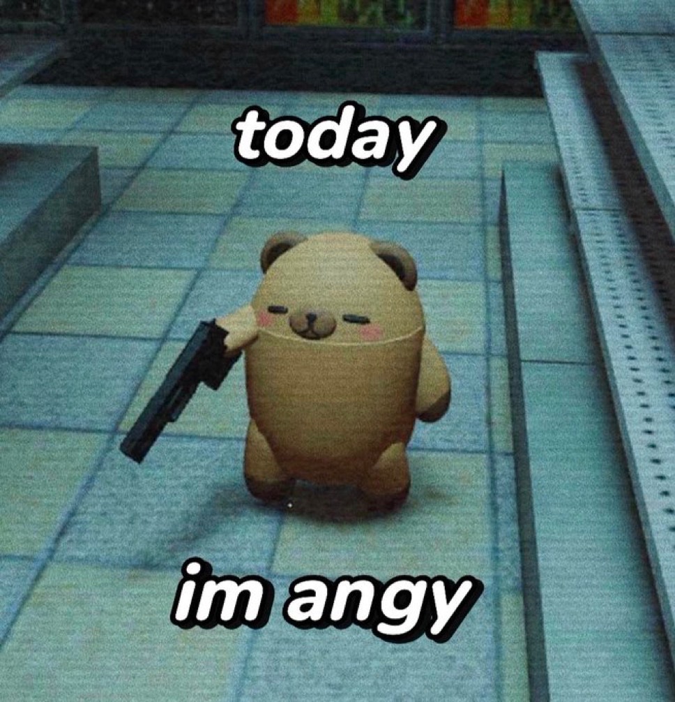 raccoon aesthetic. tweet media