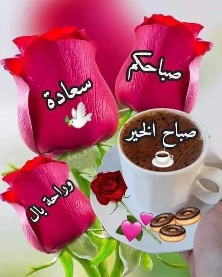 صباح يليق بالقلوب الطيبه، وبدايات ناعمه🤍
🌺تحمل الخير في تفاصيلها.🍃
اللهم ارزقنا لطفك فيما نجهل، وخيرك فيما نرجو🕊

صباح__الخير🌹🫶