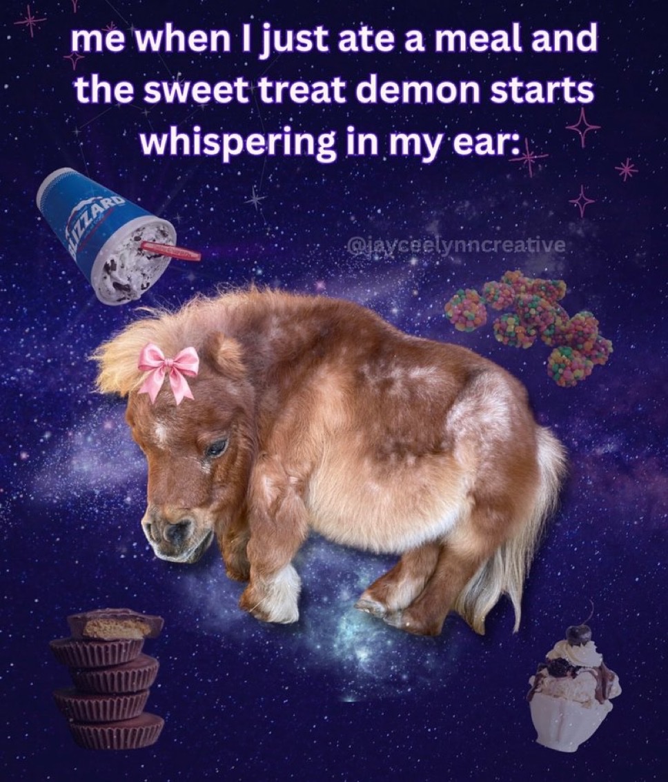 raccoonesthetic's tweet image. 