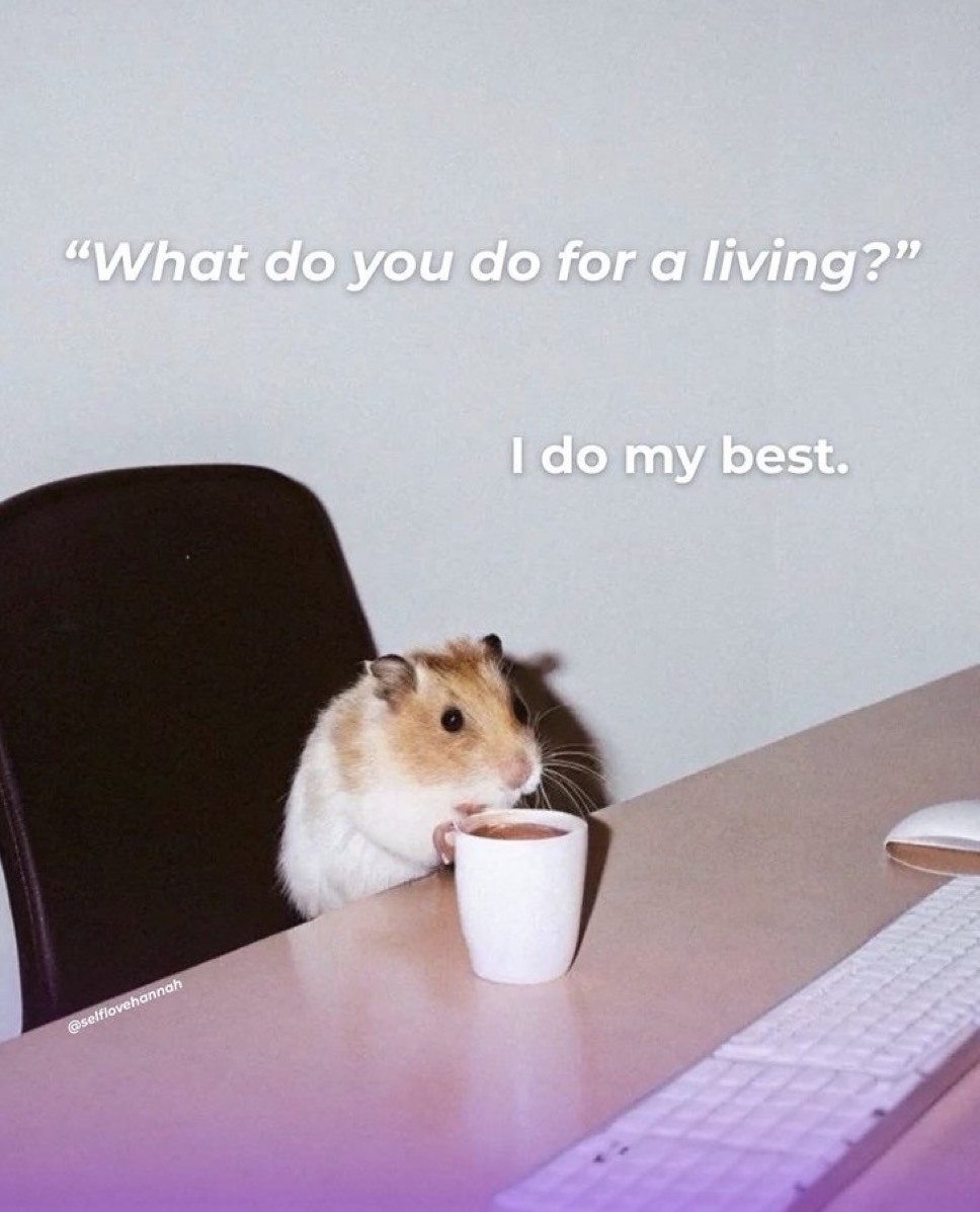 raccoon aesthetic. (@raccoonesthetic) on Twitter photo 