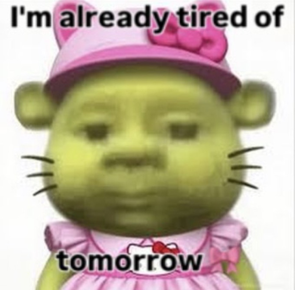 raccoonesthetic's tweet image. 