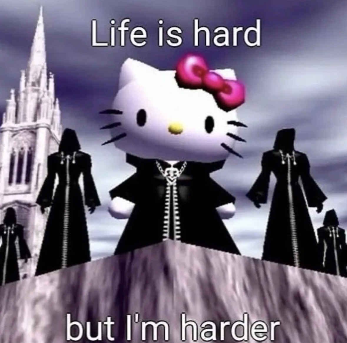 raccoon aesthetic. (@raccoonesthetic) on Twitter photo 