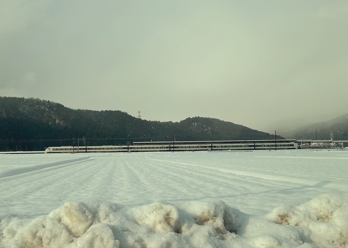 Bs1F5's tweet photo. 雪で一面真っ白な余呉
特急しらさぎ
徳山鮓さん
冷えた体に鴨鍋の暖かさがしみたー https://t.co/JV7q7cxiUp