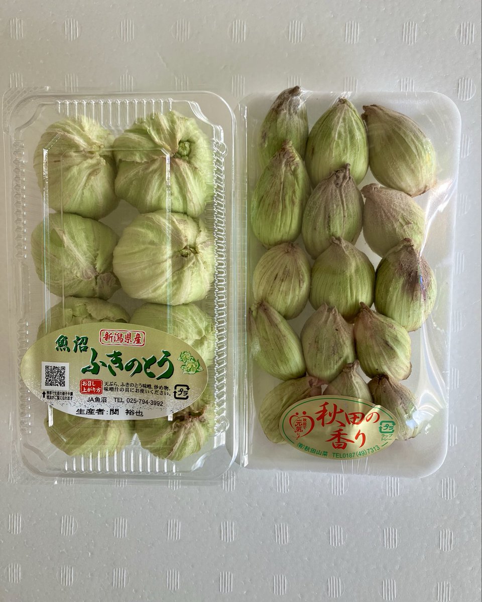 yaoi_osaka's tweet photo. 独特の香りとほろ苦さが春の息吹を感じさせるよ、ふきのとう。天ぷらや、みそ汁　グラタン　パスタに入れてもよい〜 https://t.co/jxRn55MmUz
