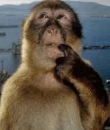 so what’s the best way to make a va banner