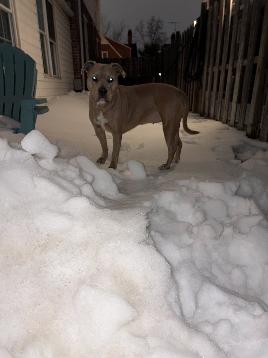 ShawnieSwisher's tweet image. See these hoes, we done ran through 'em
Xans, we done chewed 'em, lames, better salute 'em
#SLUMPED #SMOKEDATSHIT