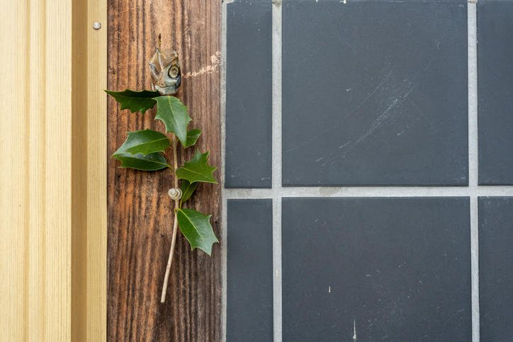 関西って節分にイワシ食べるらしく、とりあえず昨日は魚屋さんでかなり大ぶりのイワシ買って焼いて美味しかったけど、頭はこんなことする風習があるらしい
シュール😂