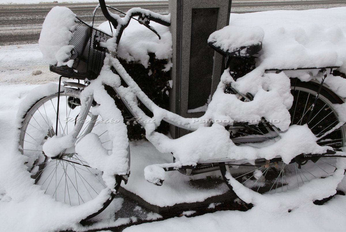 Arai_Michihiko's tweet photo. From Michihiko Arai photo collection  " CHARLIE "
Abandoned bicycles across Japan.
荒井道彦　放置自転車写真集『チャーリー』より

Snow and bicycle     Of course, it is unreleased work
雪と自転車　　もちろん未発表作品です

Michihiko Arai         Collage artist  /  Photographer https://t.co/eEO9TNyPBA