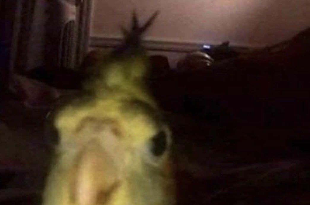 Netflix: ¿Sigues ahí?
Yo: Posi, onde más voy a estar