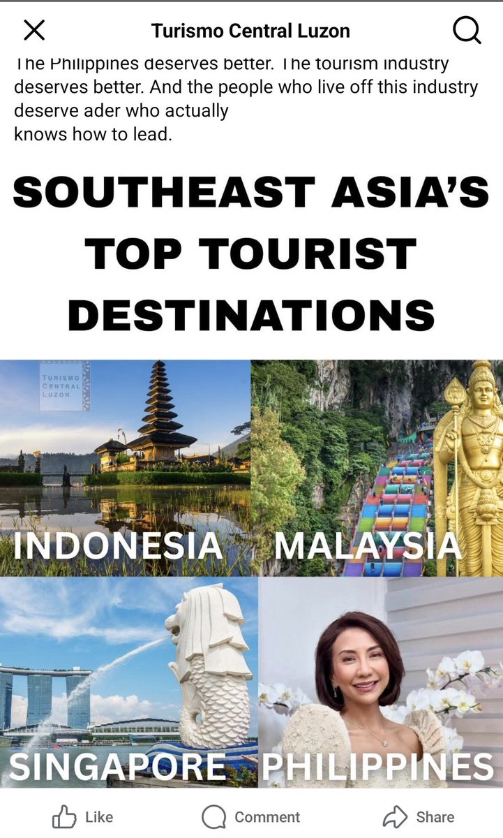 🐈‍⬛ tweet media