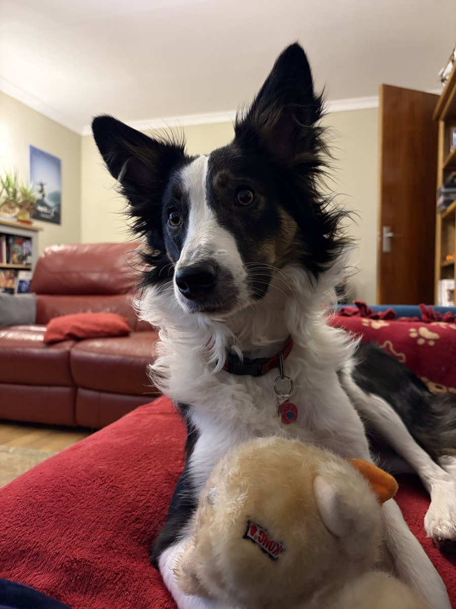 Puppy Bess and Auntie Kes tweet media