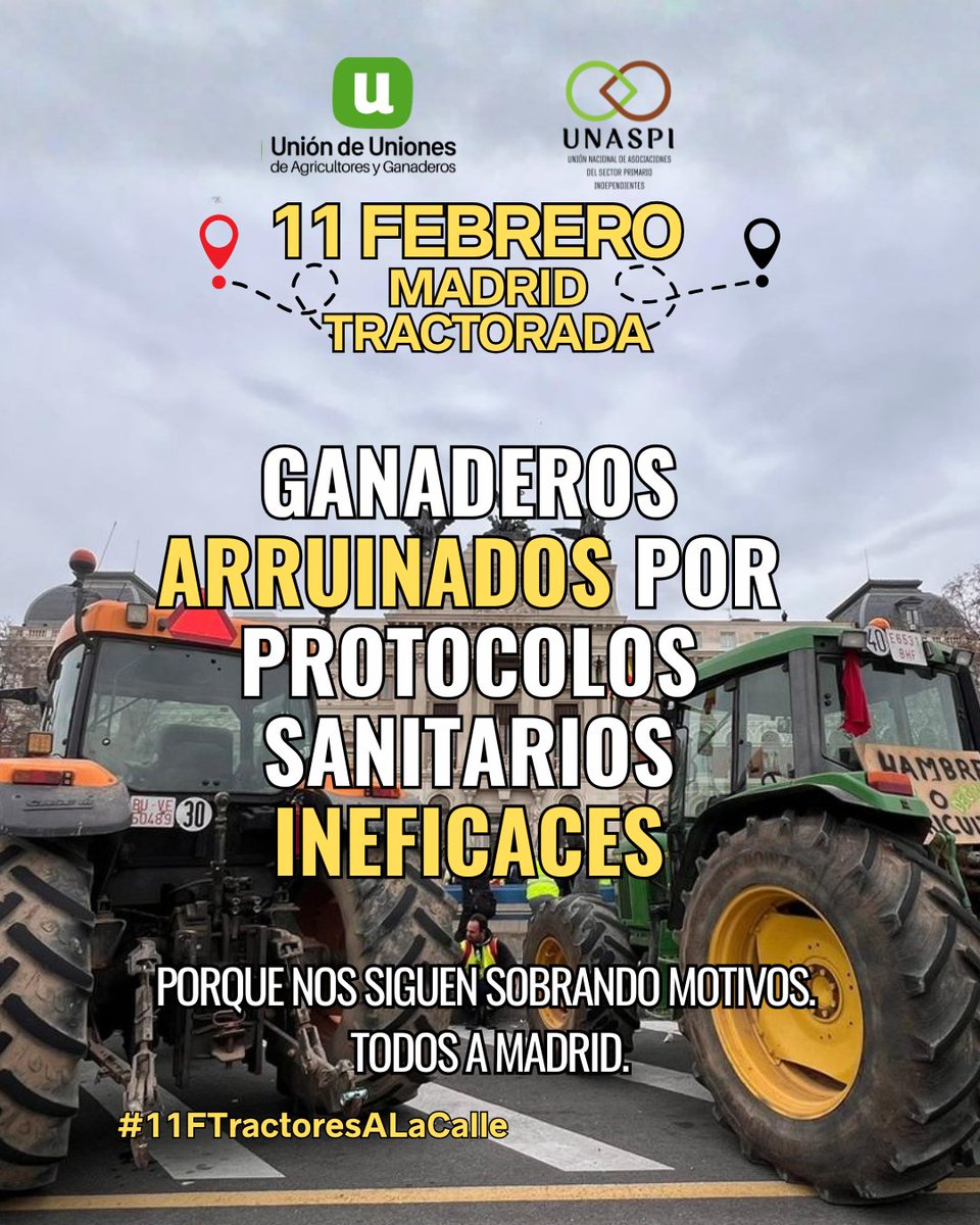 UniondeUniones's tweet photo. Ganaderos arruinados por protocolos sanitarios ineficaces.

🐄 Sin prevención ni recursos no hay sanidad animal ni futuro.

📍 11F · Madrid
👉 Porque nos siguen sobrando motivos. Todos a Madrid

#11FTractoresALaCalle https://t.co/pGBDMxlCGO
