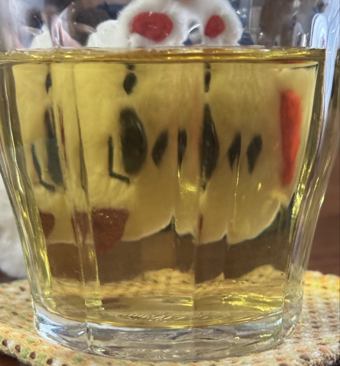 カモミールティーを飲みます☕︎
 #クオッカちゃんのいる生活 
 #ぬいを覗く時ぬいもまたこちらを